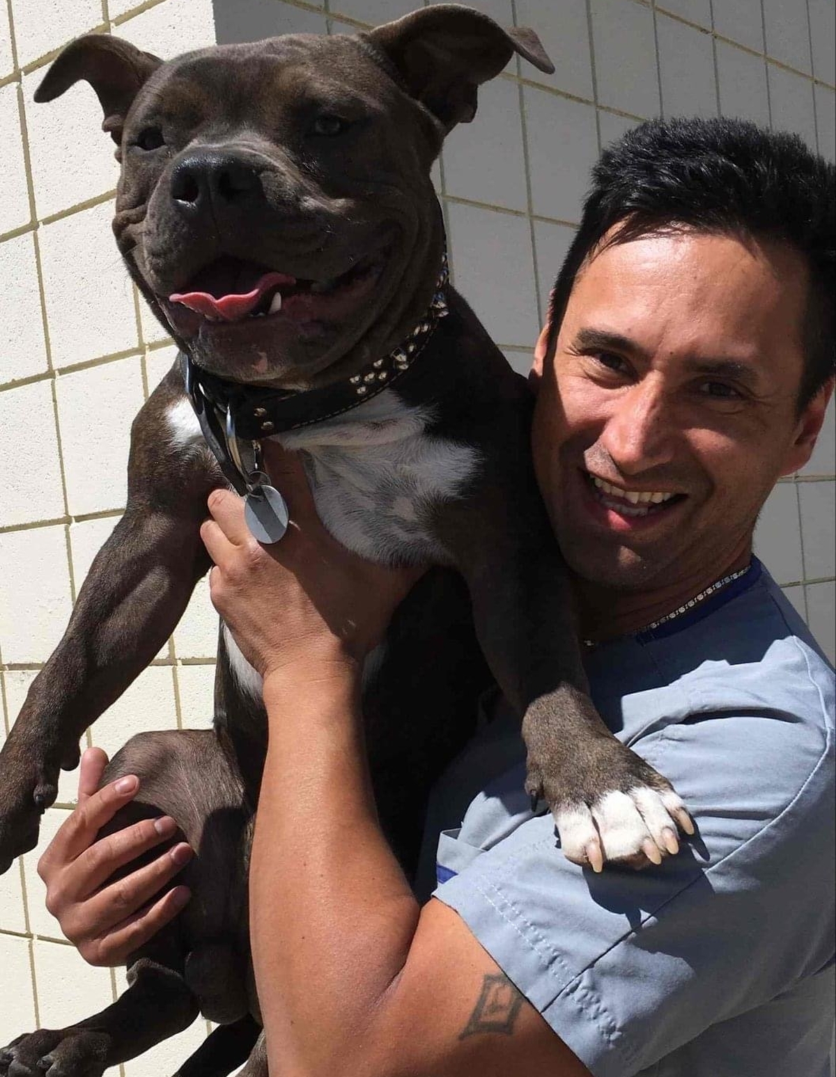 Dr. Rafael Pineda - DVM / Practice Manager